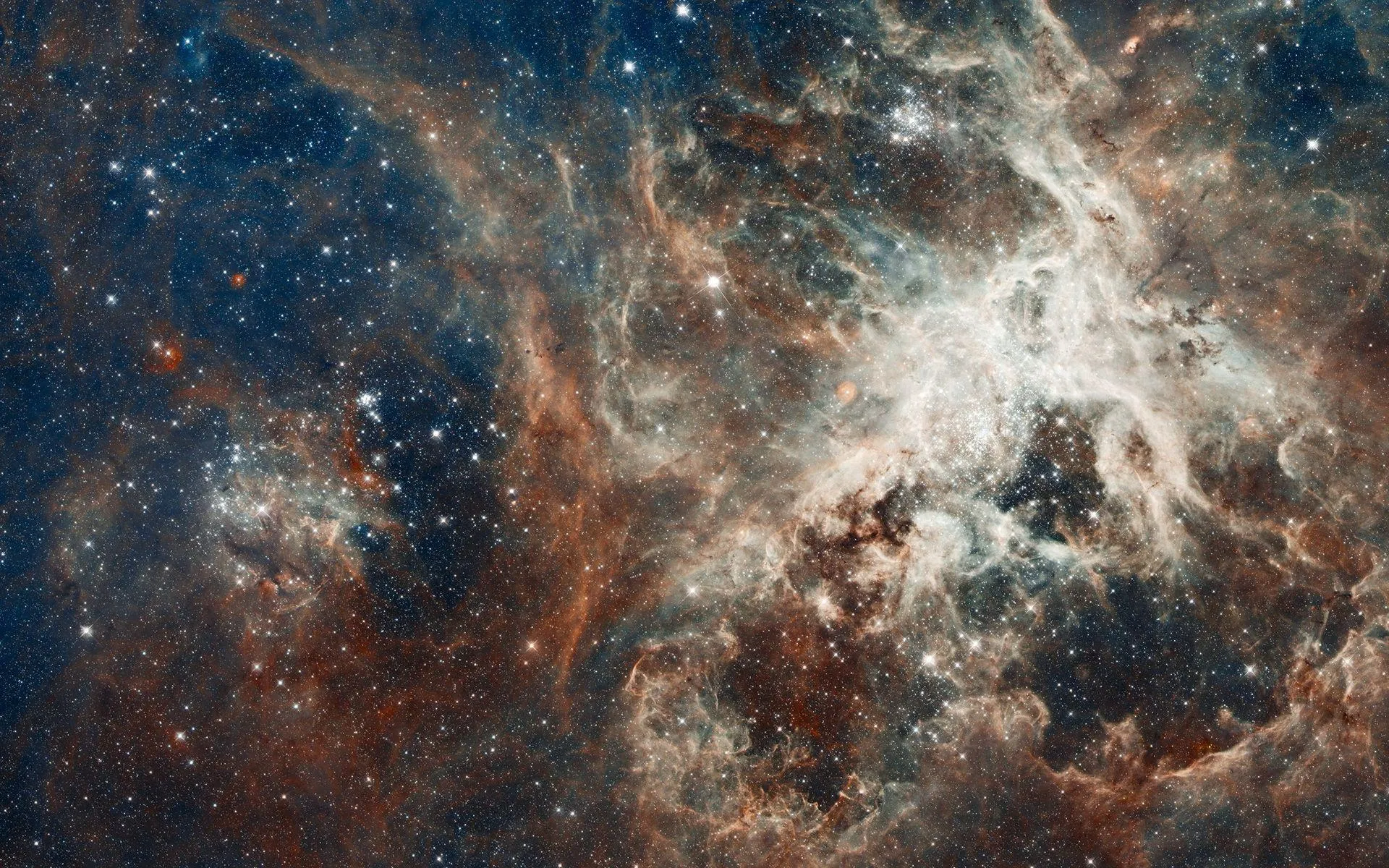 /img/21368-wallpaper-setup-tips.webp