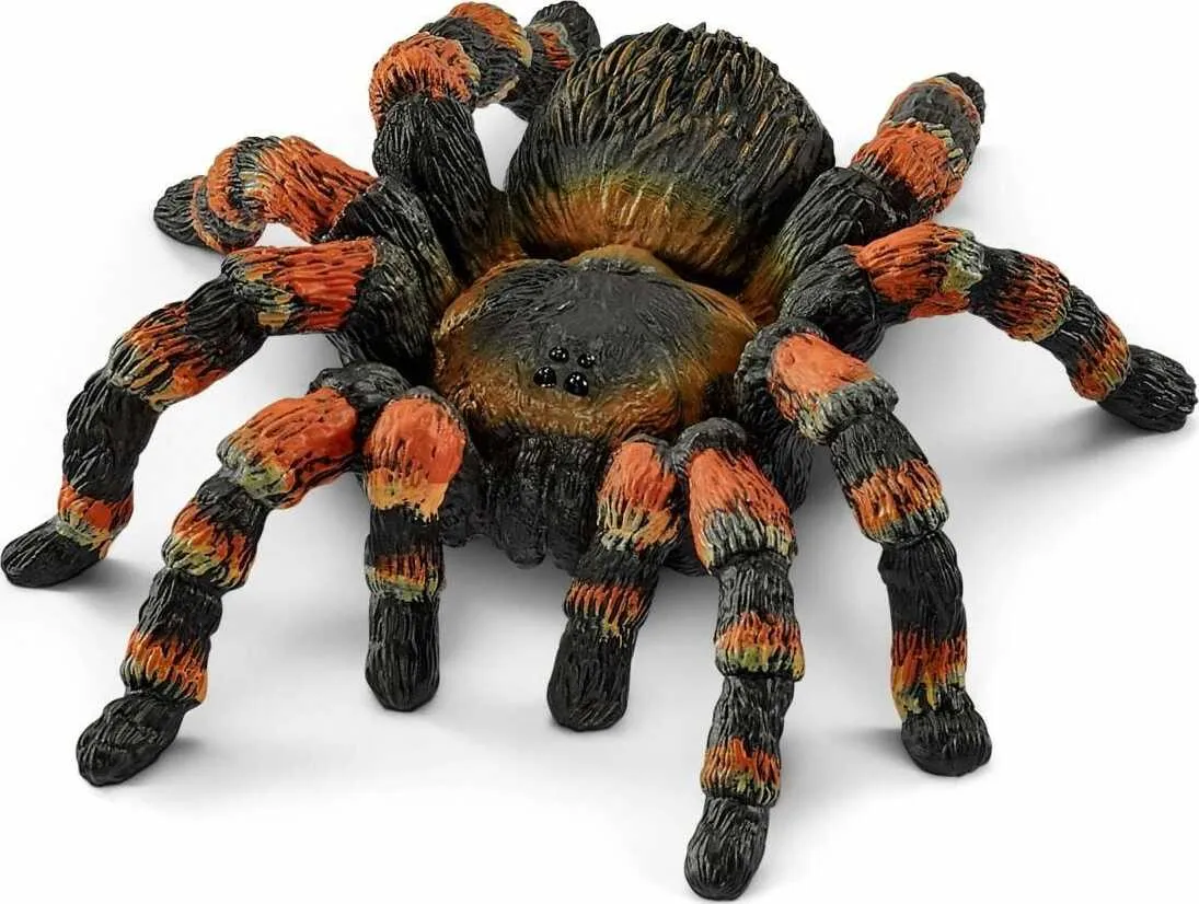 21384 otb tarantula feeding