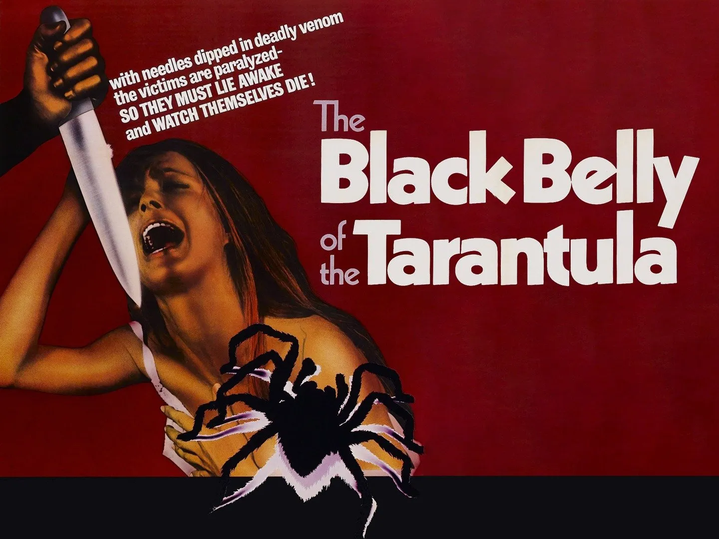 21391 tarantula tension music